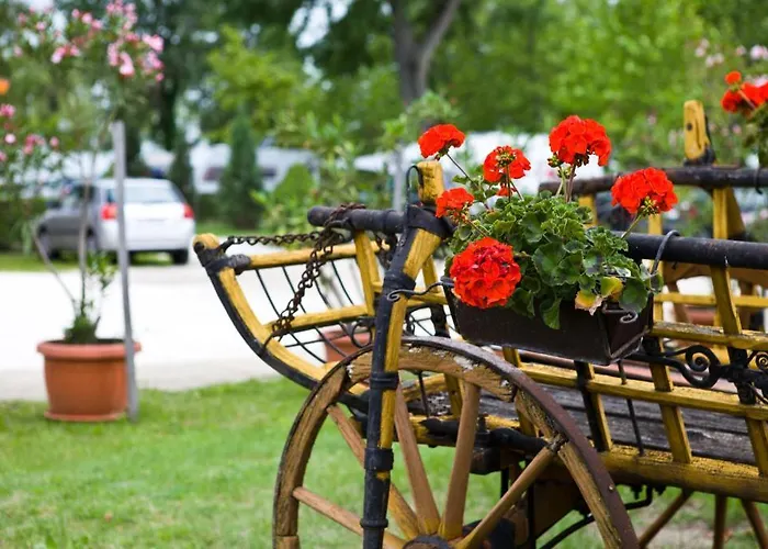 Balaton Eldorado Camping *